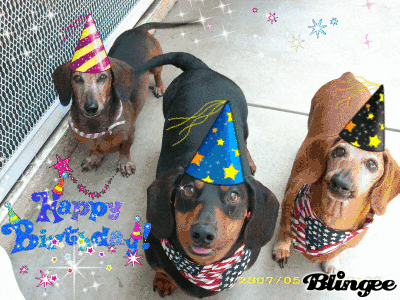 Dog-birthday GIFs - Get the best GIF on GIPHY